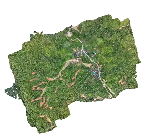 Sektor Lobu Pining (Zona Patahan & Jalan Poros Trans-Sumatera)